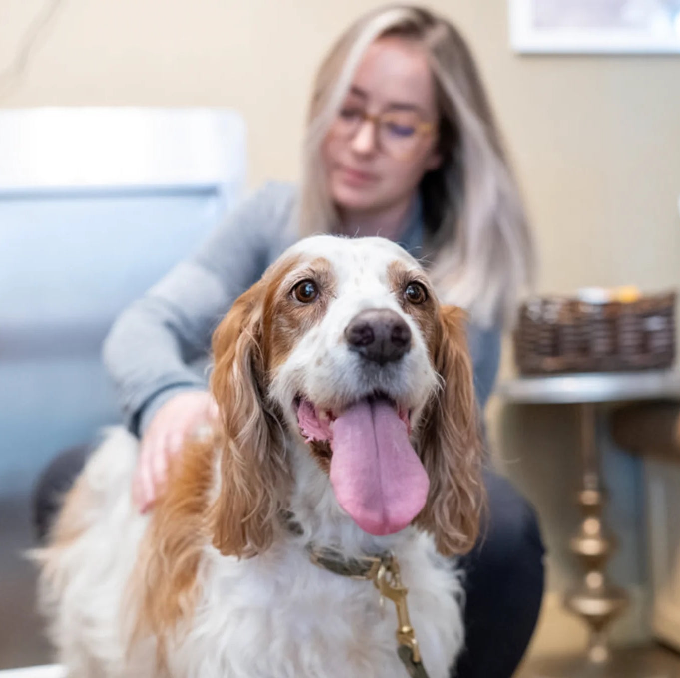 Dr. Becky- chiropractic care