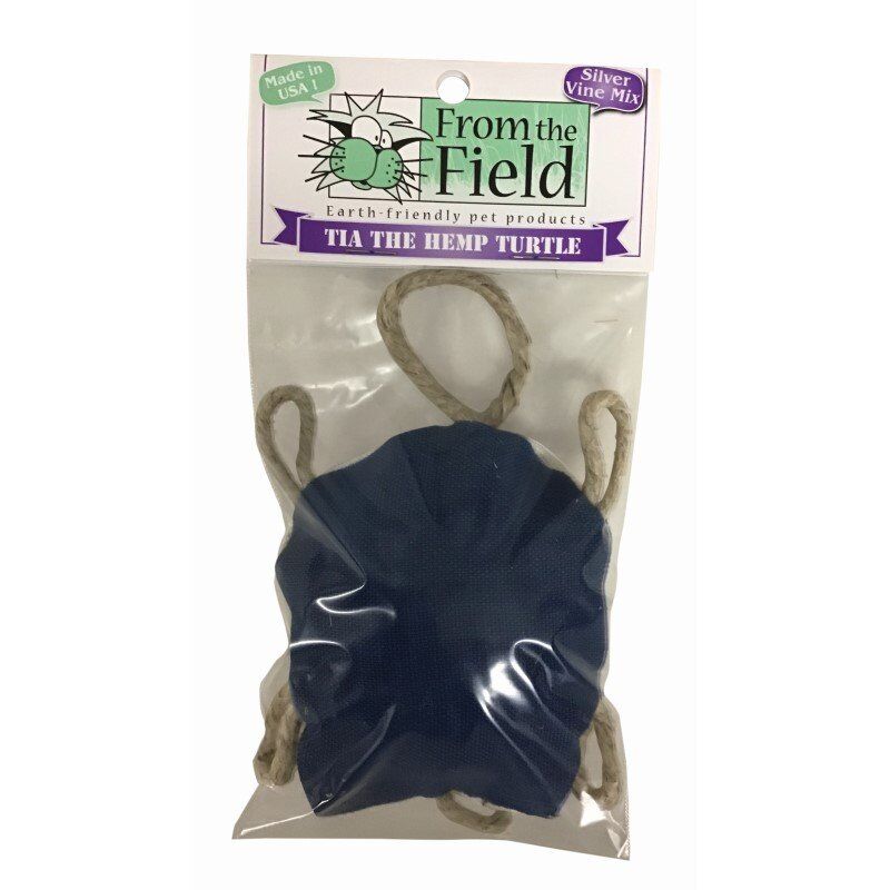 Tia the Hemp Turtle