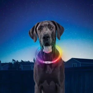 NiteIze NiteHowl LED Rechargeable Safety Necklace (Disco)