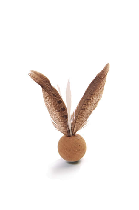 From the Field Oscar De La Bird