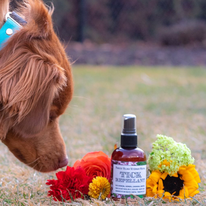 Pandosy Vet's Own Botanical Tick Repellent