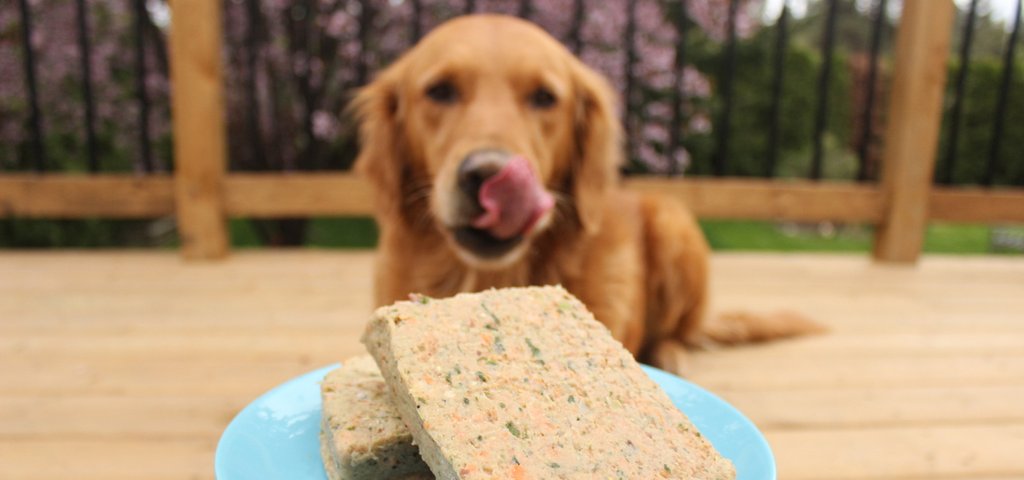 Dog food and heart problems sale