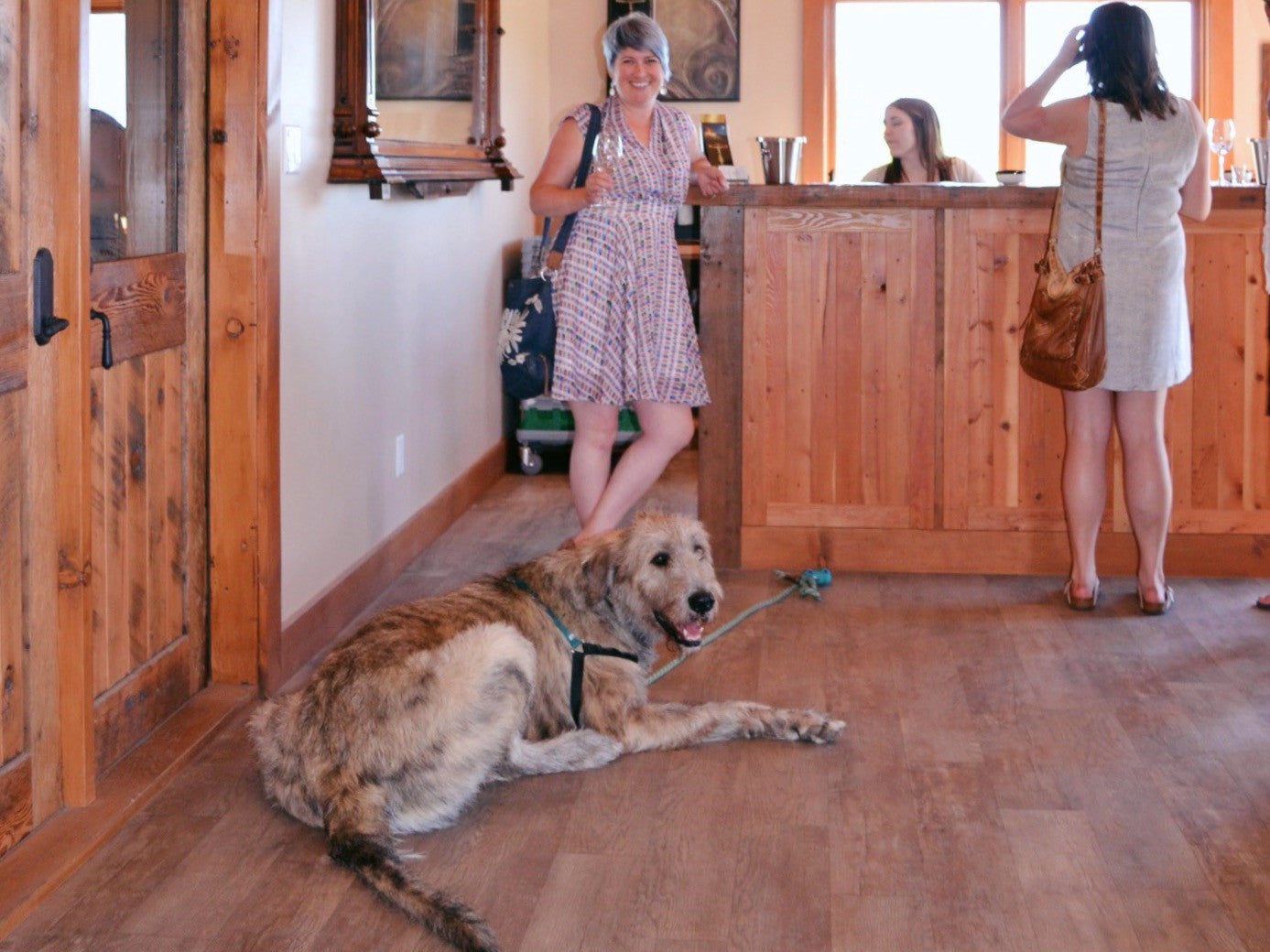 Cheers to wine tasting with your hound!