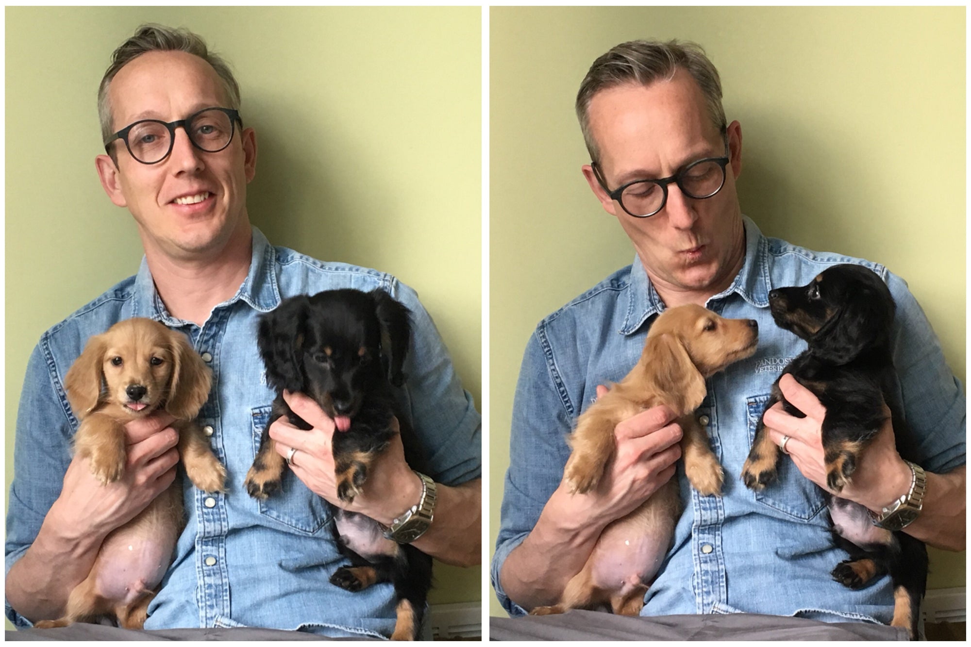 Dr. Jason's New Puppies