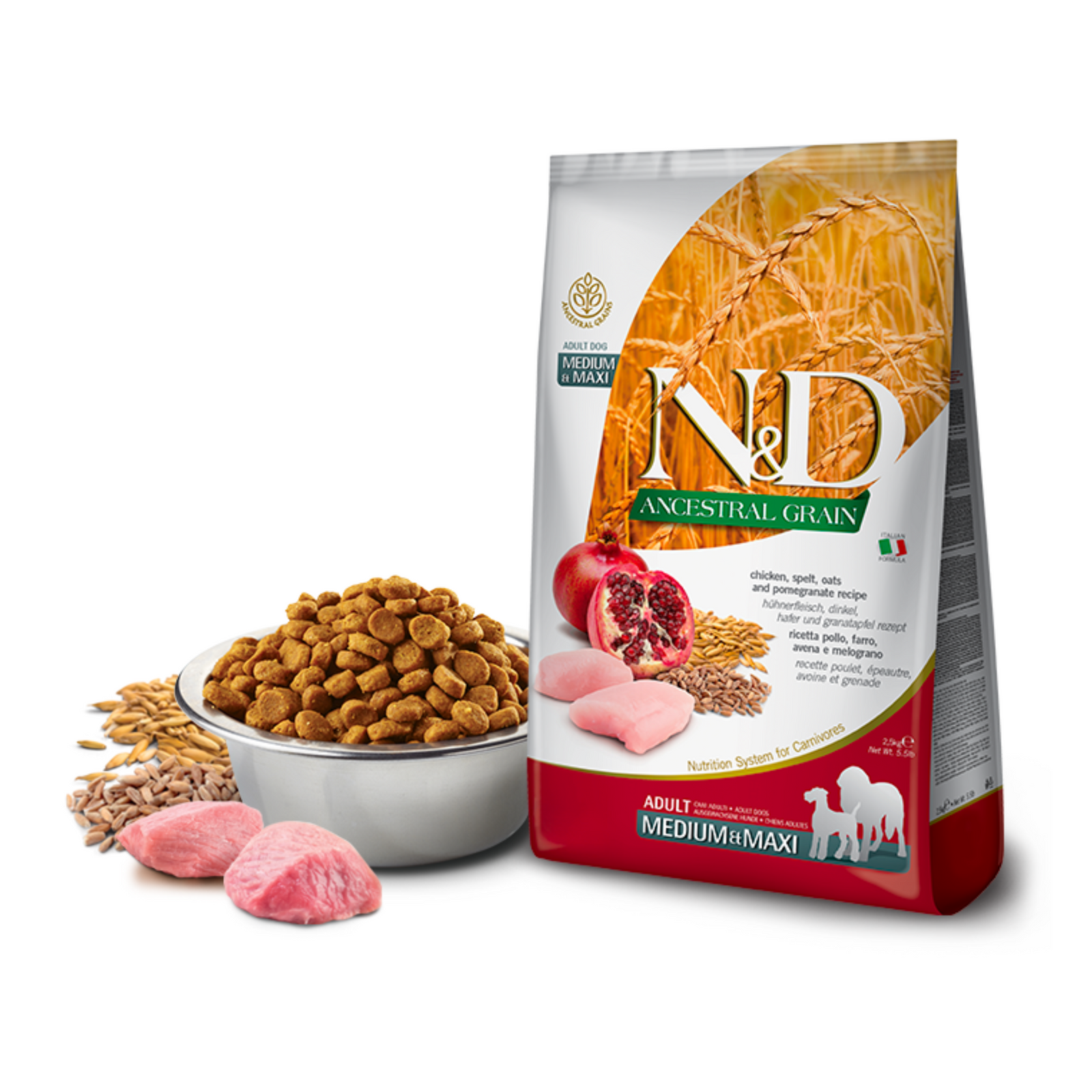 Holistic Dog Food Pandosy Vet