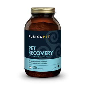 Recovery