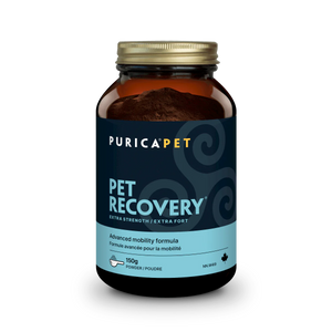 Recovery