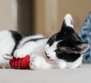 Feline Frenzy - Christmas