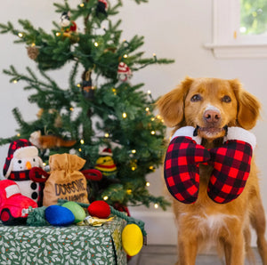 PLAY Home for the Holidays