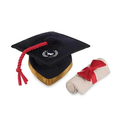 Back To School -  Grad Hat & Scroll