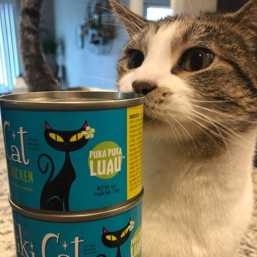 Tiki Cat Canned Wet Food and Seafood Pandosy Vet