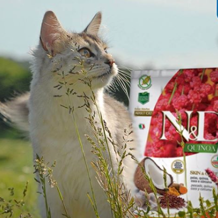 N&d cat store food weight management
