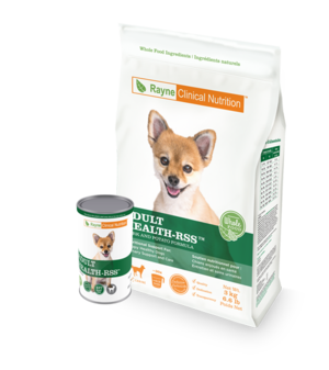 Rayne dog best sale food price