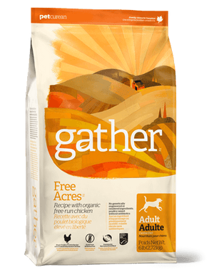 Gather Dry Dog Food