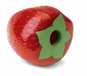 Planet Dog Strawberry